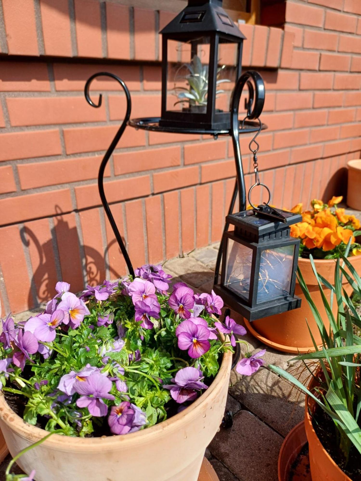 Apartamenty Levilla Rewa Zewnętrze zdjęcie
