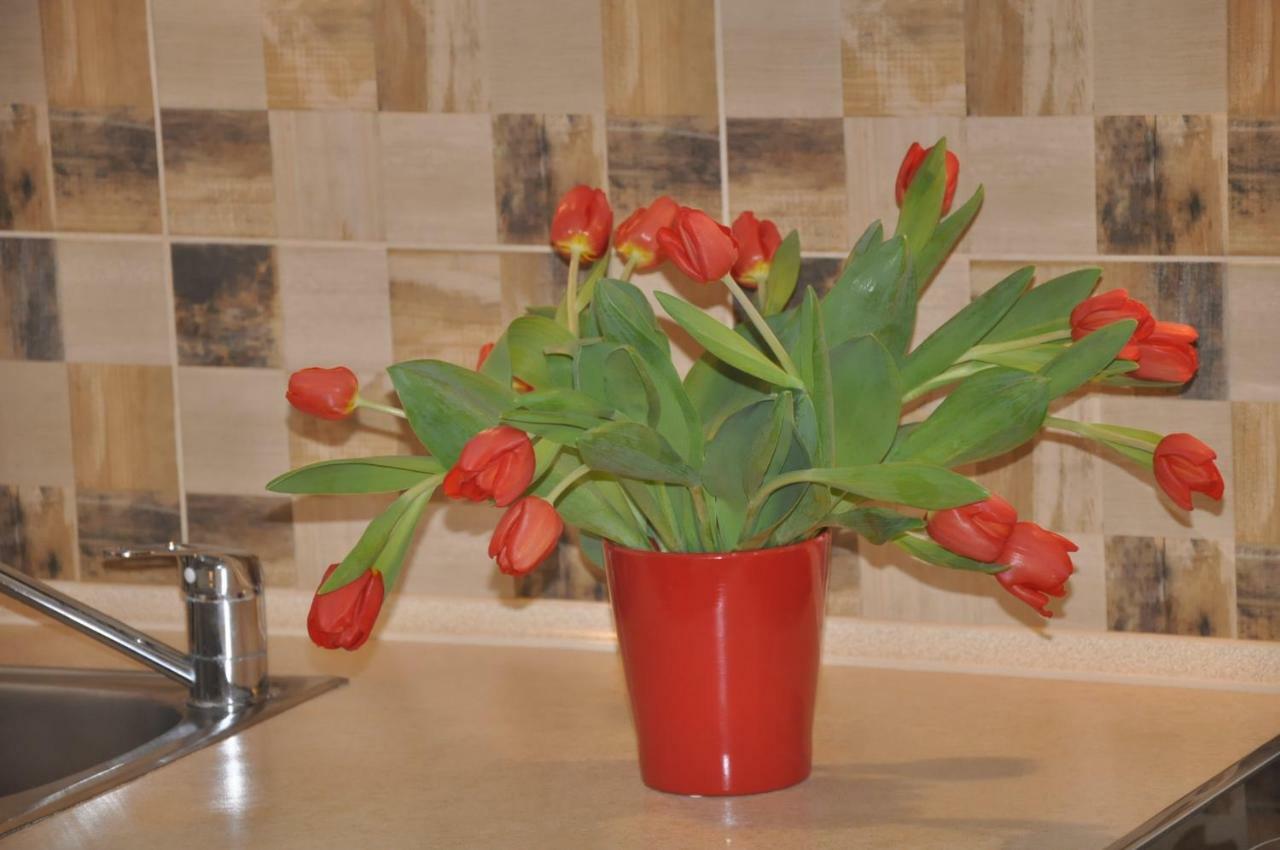 Apartamenty Levilla Rewa Zewnętrze zdjęcie